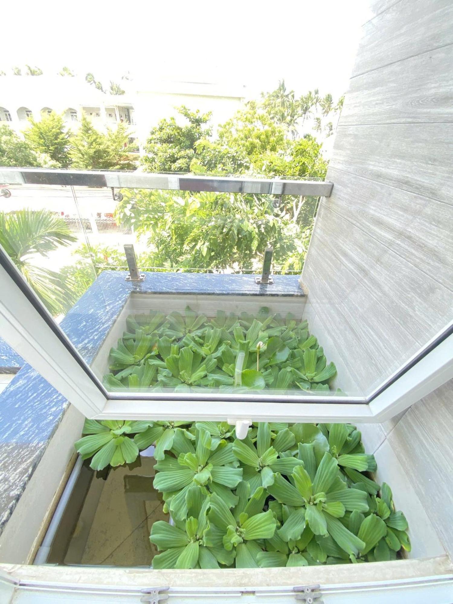 Qli Hotel 무이네 외부 사진